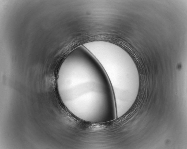 X0000099560617200805160752