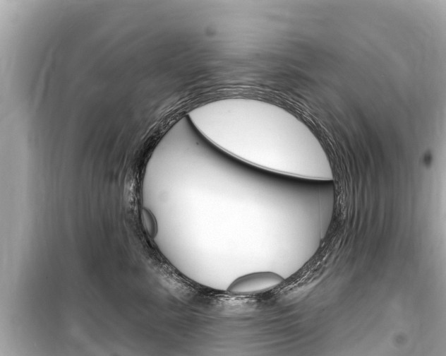 X0000099560619200805160752