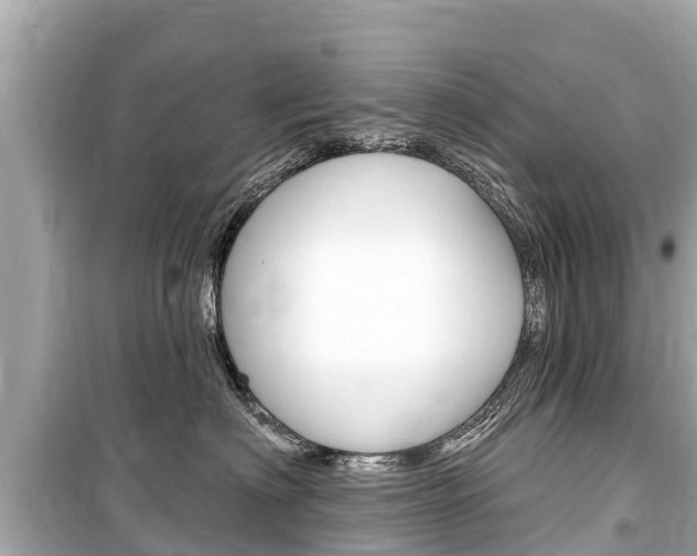 X0000099560622200805160752