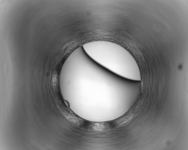 X0000099560623200805160752