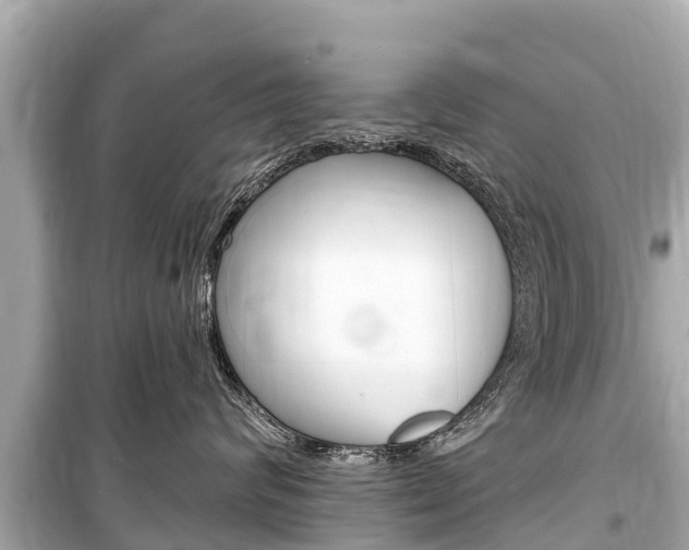 X0000099560624200805160752