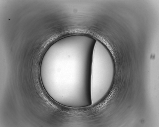 X0000099560625200805160751