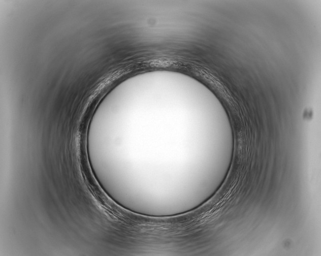 X0000099560626200805160751