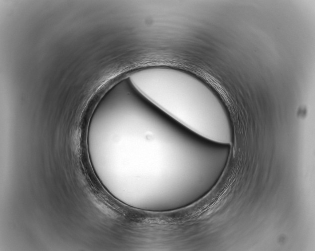 X0000099560627200805160751