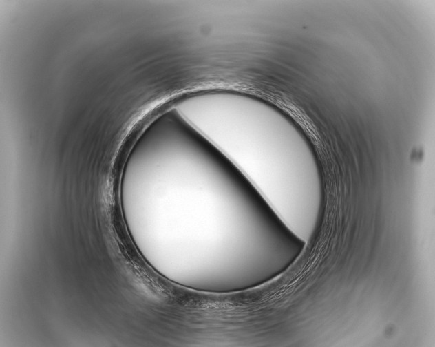 X0000099560628200805160751