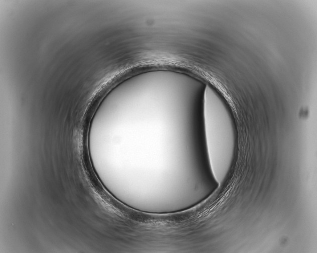 X0000099560629200805160751