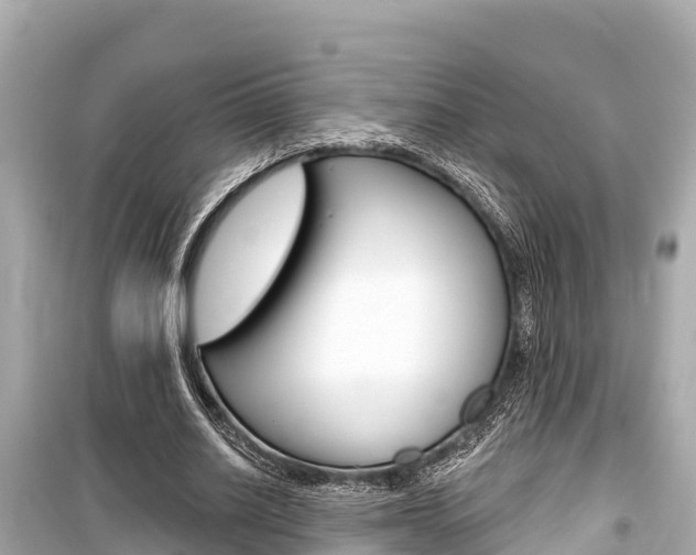 X0000099560630200805160751