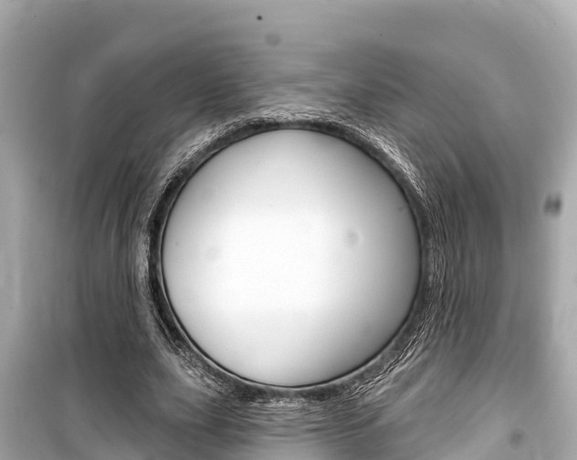 X0000099560631200805160751