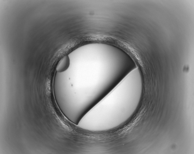 X0000099560633200805160751