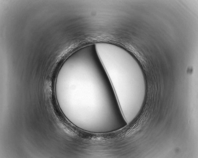 X0000099560634200805160751