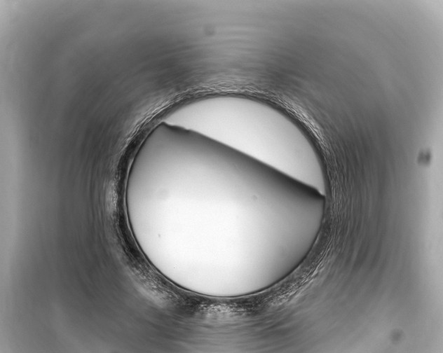 X0000099560635200805160751