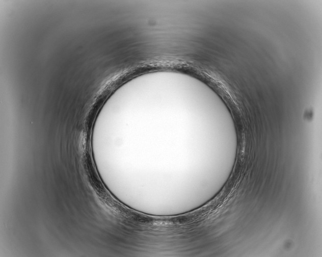 X0000099560636200805160751