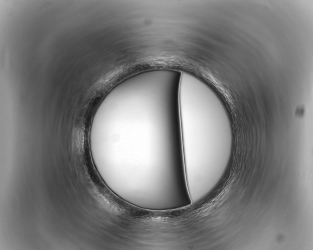 X0000099560637200805160751