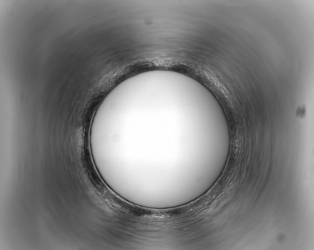 X0000099560639200805160751