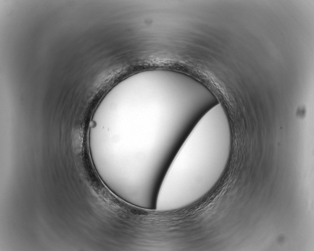 X0000099560640200805160751