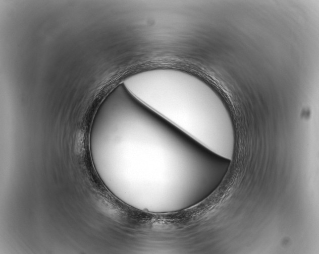 X0000099560641200805160751