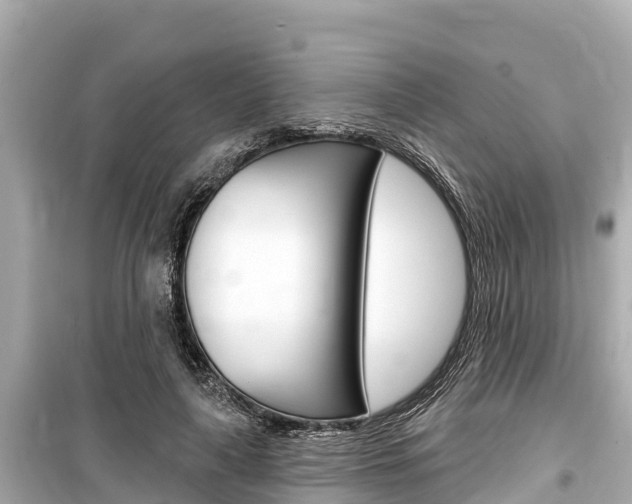 X0000099560643200805160751