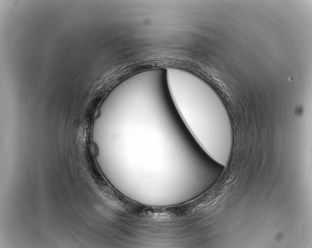 X0000099560645200805160751