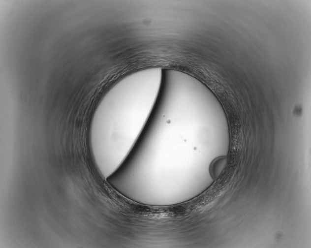 X0000099560646200805160751