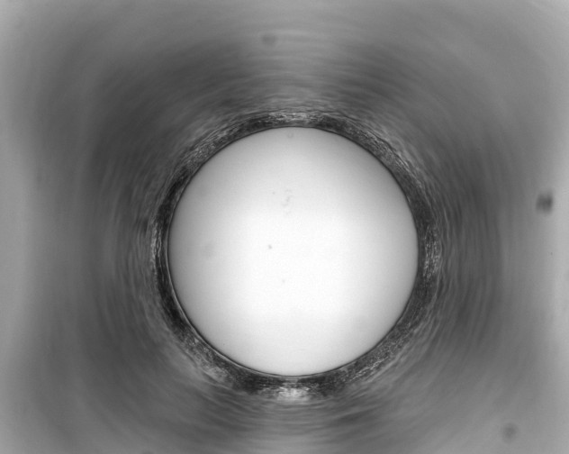X0000099560647200805160751