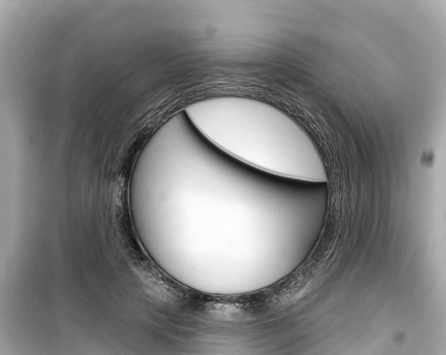 X0000099560649200805160751