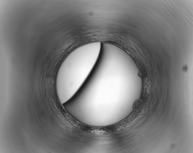 X0000099560650200805160751