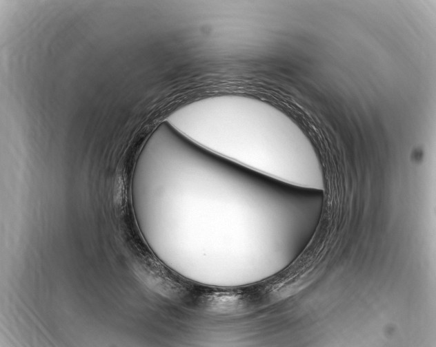 X0000099560651200805160751