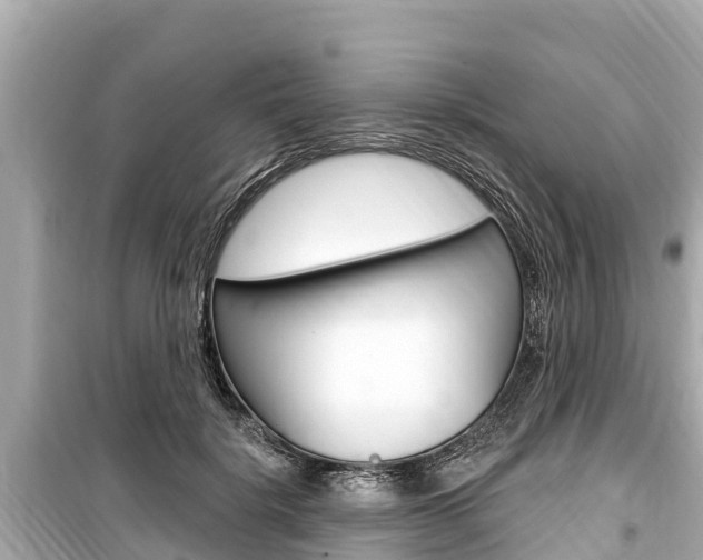 X0000099560652200805160751