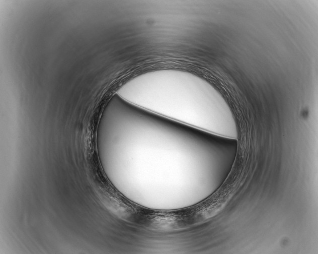 X0000099560653200805160751