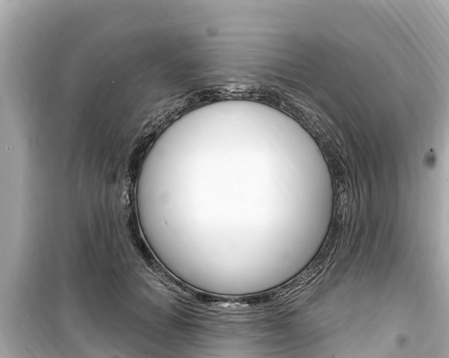 X0000099560654200805160751