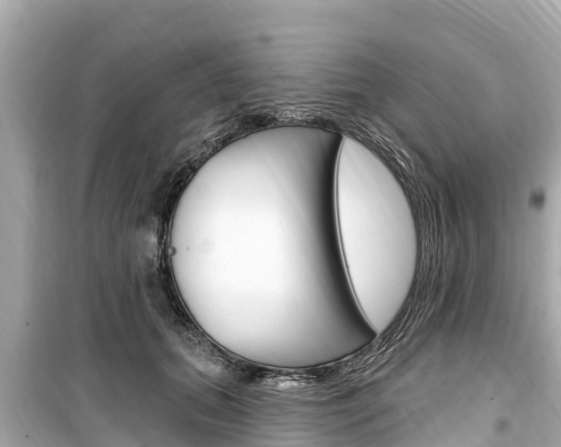 X0000099560655200805160751
