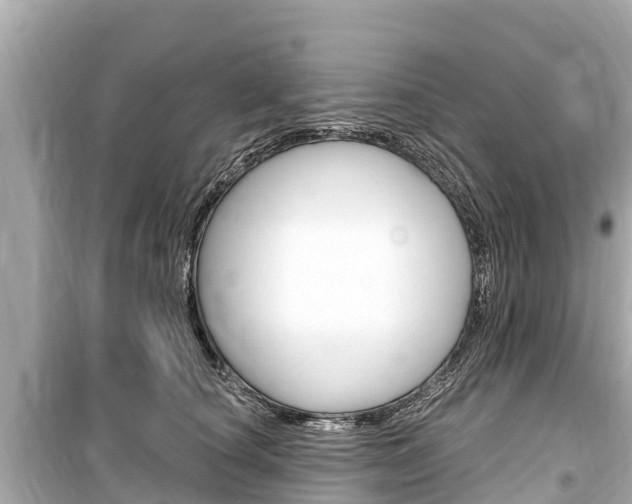 X0000099560660200805160751