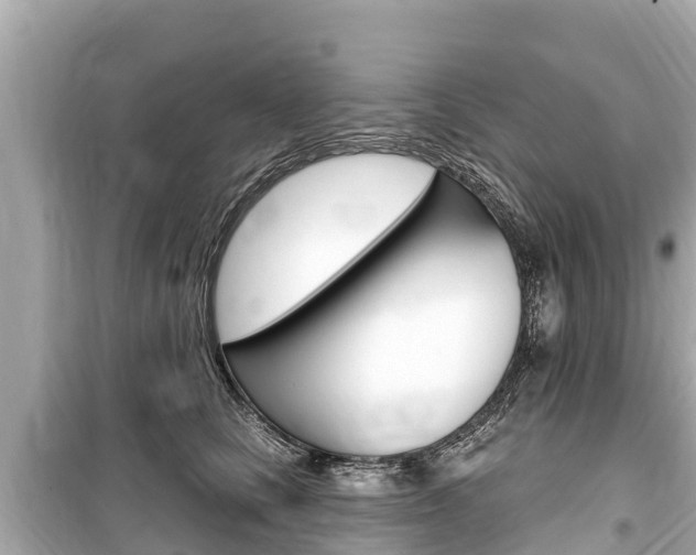 X0000099560661200805160751