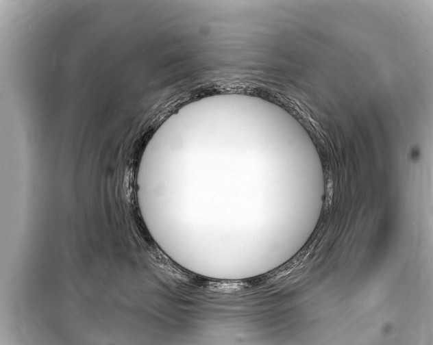 X0000099560671200805160752