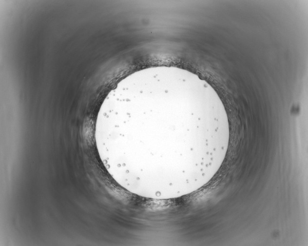 X0000099560672200805160752