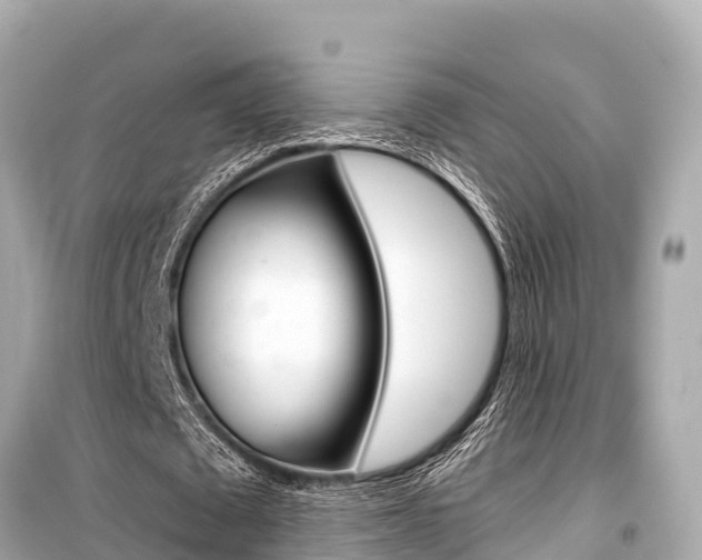 X0000099560673200805160751