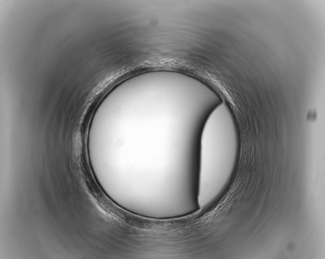 X0000099560674200805160751