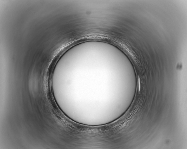 X0000099560675200805160751