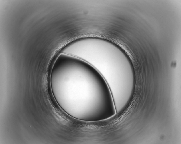 X0000099560677200805160751