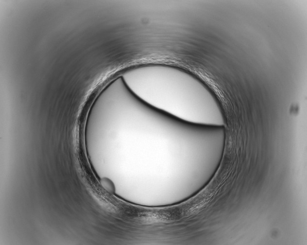 X0000099560678200805160751