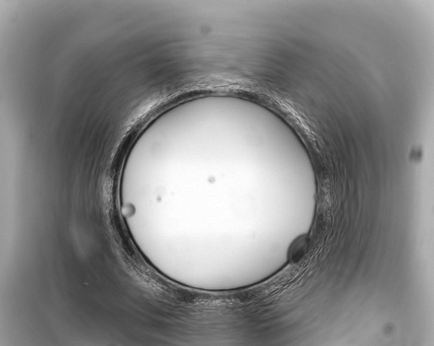 X0000099560679200805160751