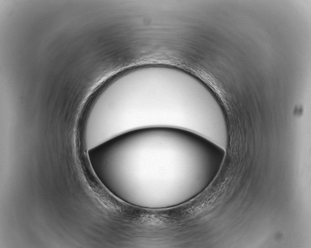 X0000099560680200805160751