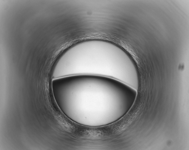X0000099560681200805160751