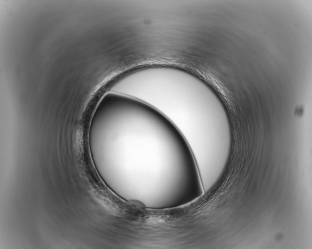 X0000099560684200805160751
