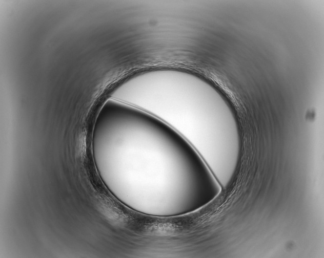 X0000099560685200805160751