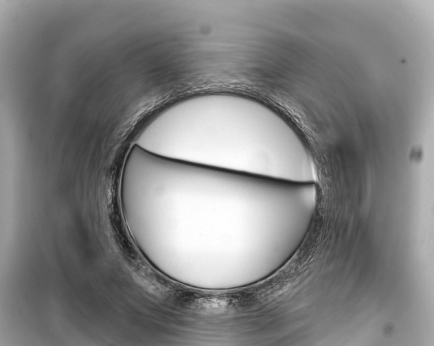 X0000099560687200805160751