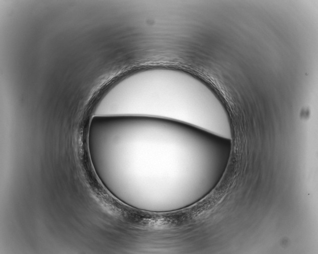 X0000099560688200805160751