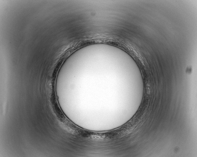 X0000099560690200805160751