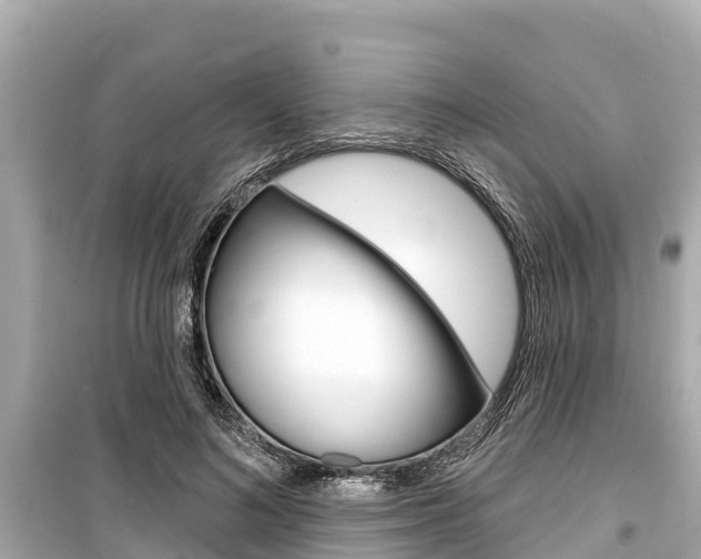 X0000099560692200805160751