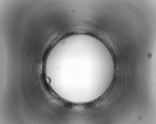 X0000099560694200805160751
